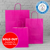 240mm Fuchsia Twisted Handle Paper Carrier Bags