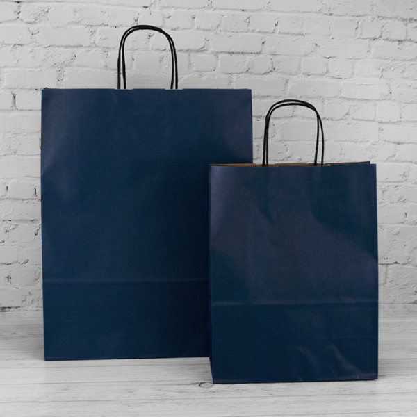 240mm Dark Blue Twisted Handle Paper Carrier Bags 4206